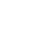 Seringa
